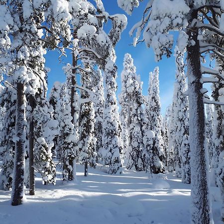 Hietavilla Borealis Ruka Zewnętrze zdjęcie