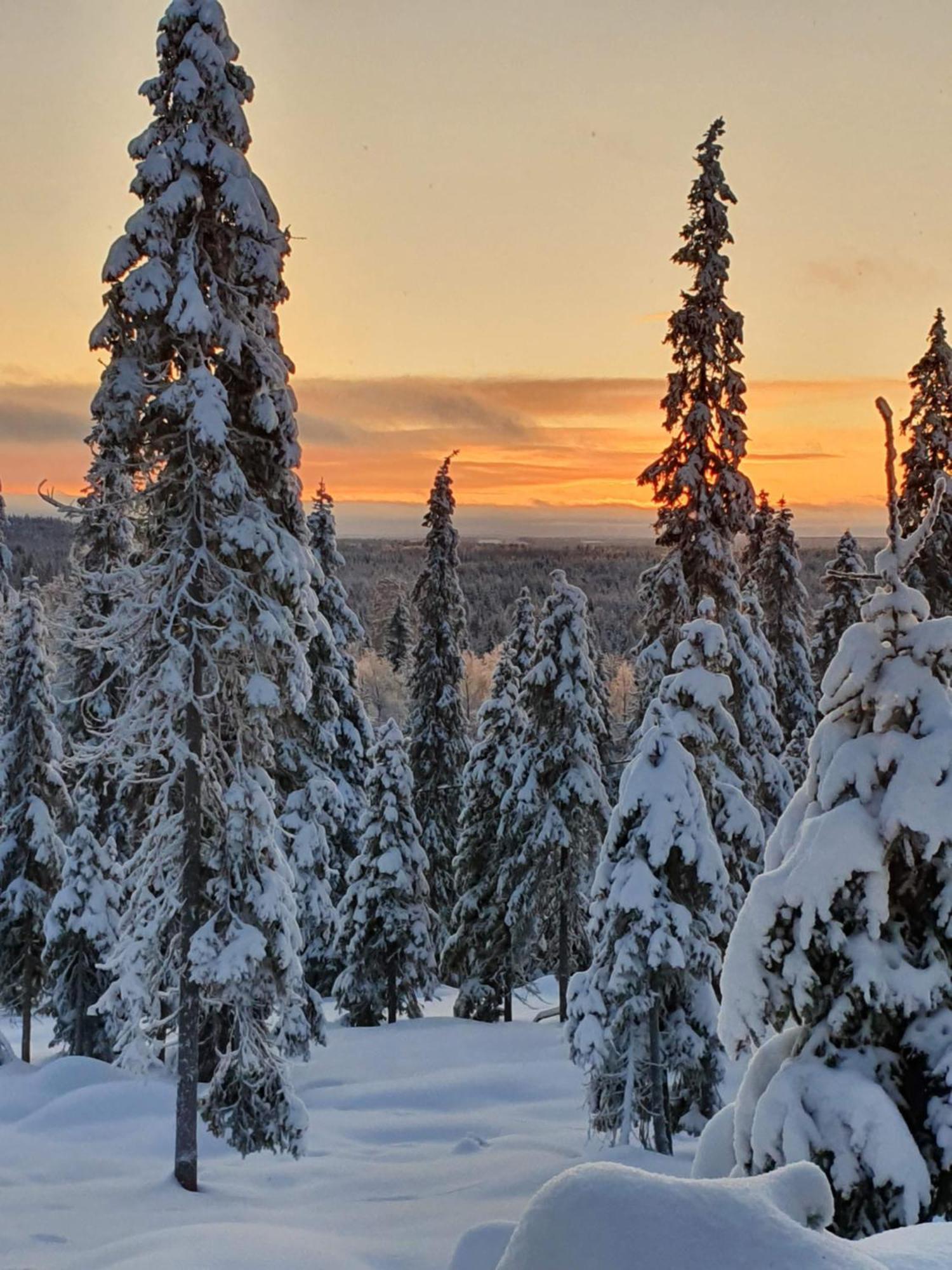 Hietavilla Borealis Ruka Zewnętrze zdjęcie
