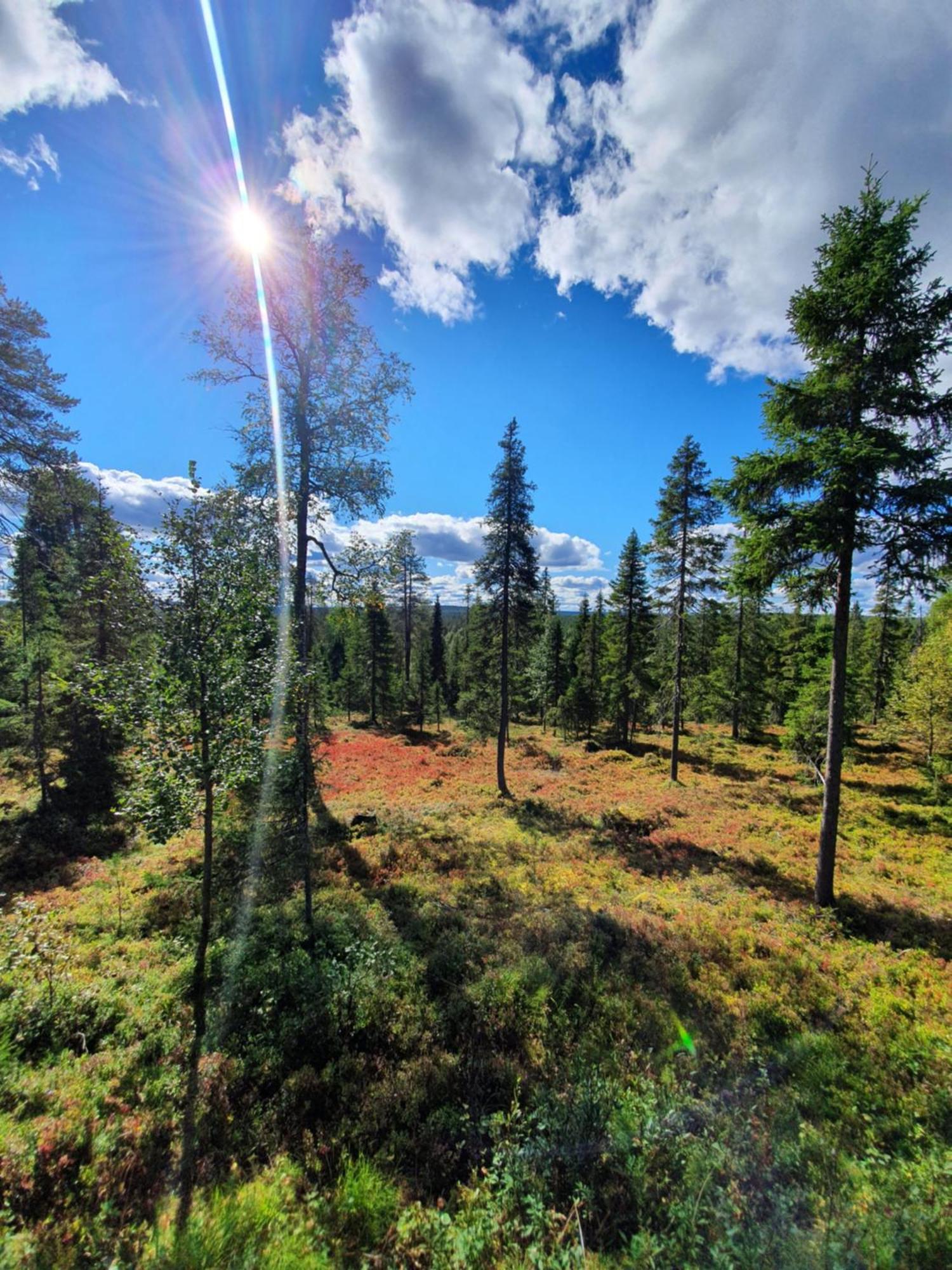 Hietavilla Borealis Ruka Zewnętrze zdjęcie